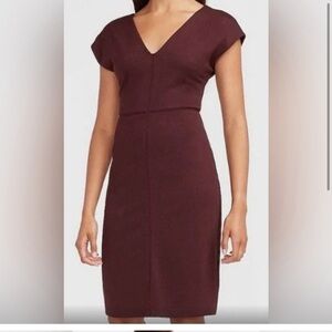 Express Plum V-Neck Dress